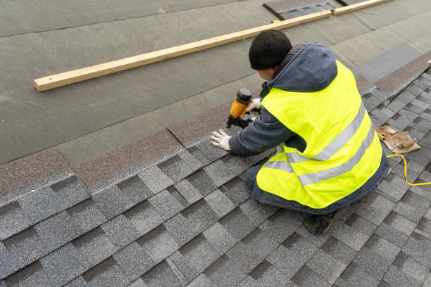 Roof Gutter Cleaning in Townsend, DE